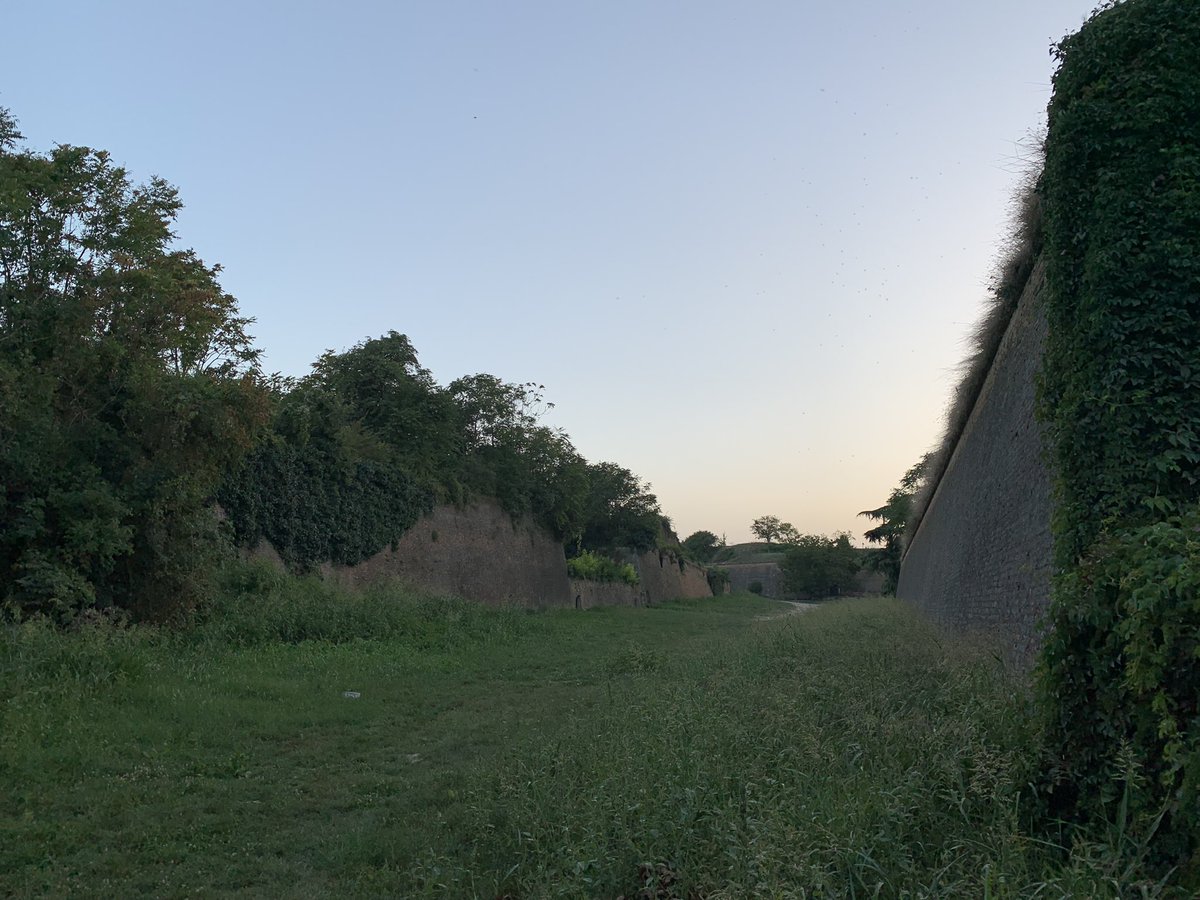 3rd day Balkan tour at Petrovaradin catacombs in Serbia 🇷🇸 Wonderful how these historical military catacombs serve the bats now. We found 8 🦇 species here during our work