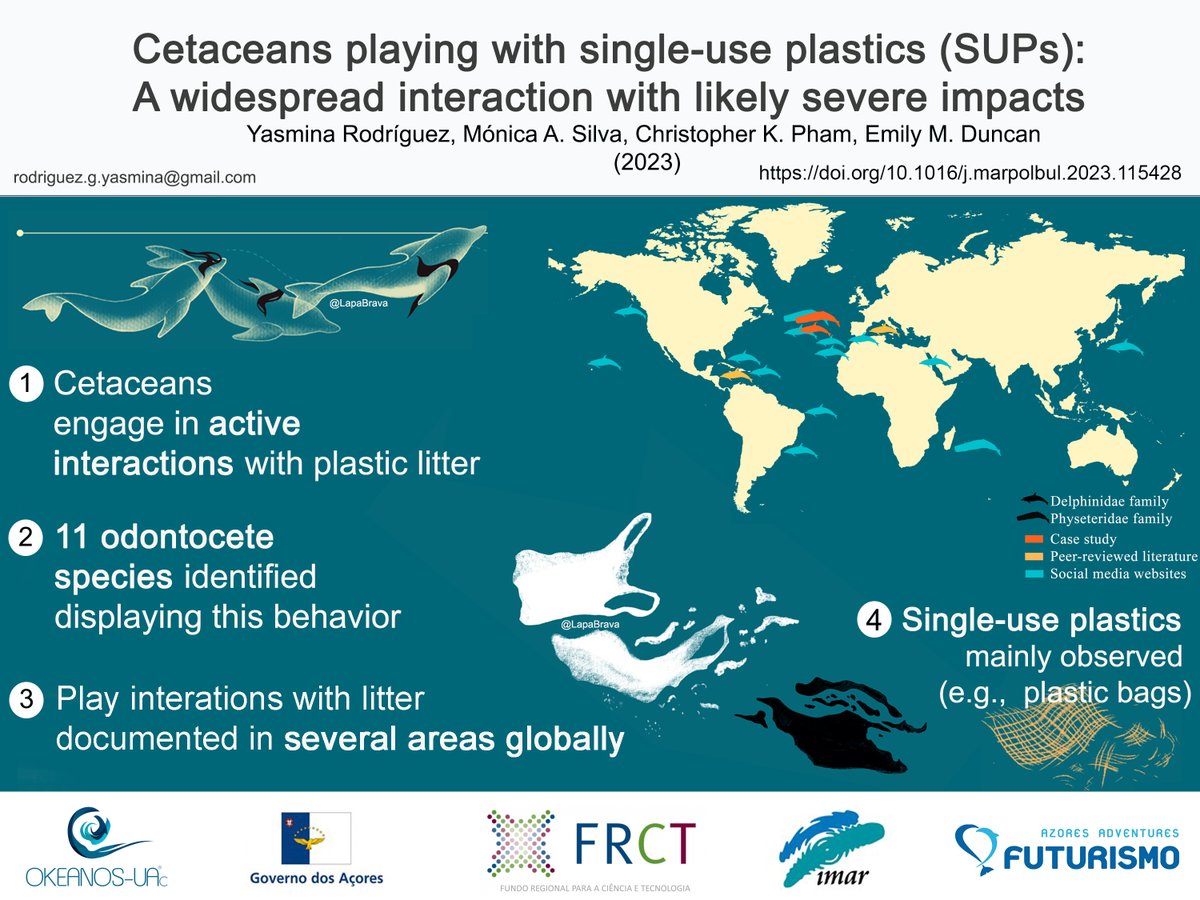✨NEW PAPER✨We investigated worldwide opportunistic observations of #cetaceans 🌍🐳🐬interacting actively with #MarineLitter mainly #SingleUsePlastic🌊🗑️ 📄👇 sciencedirect.com/science/articl… #AnimalBehaviour #PlayWithPlasticLitter #PlasticEntanglement #PlasticIngestion #PlasticTreaty