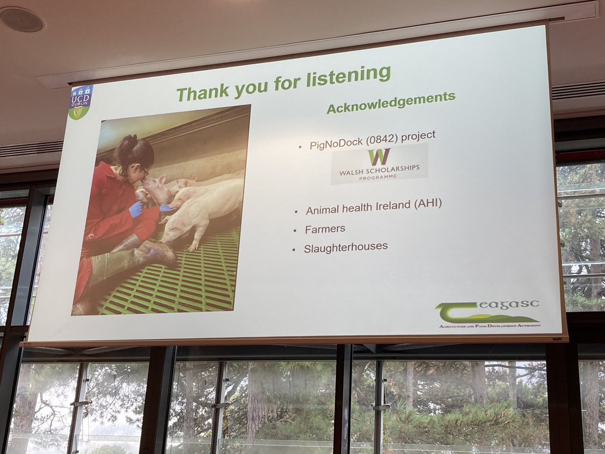 Laura Boyle ๐ฎ๐ช (@laboyle2) on Twitter photo Roberta DโAlessio <a href="/teagascpig/">TeagascPig</a> on the findings from her assessment of the validity of the Irish #tailbiting risk assessment tool #pigwelfare Roberta DโAlessio <a href="/teagascpig/">TeagascPig</a> on the findings from her assessment of the validity of the Irish #tailbiting risk assessment tool #pigwelfare
