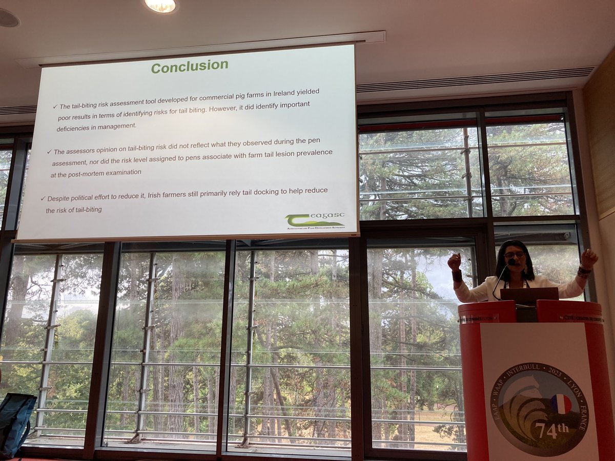 Laura Boyle 🇮🇪 tweet media