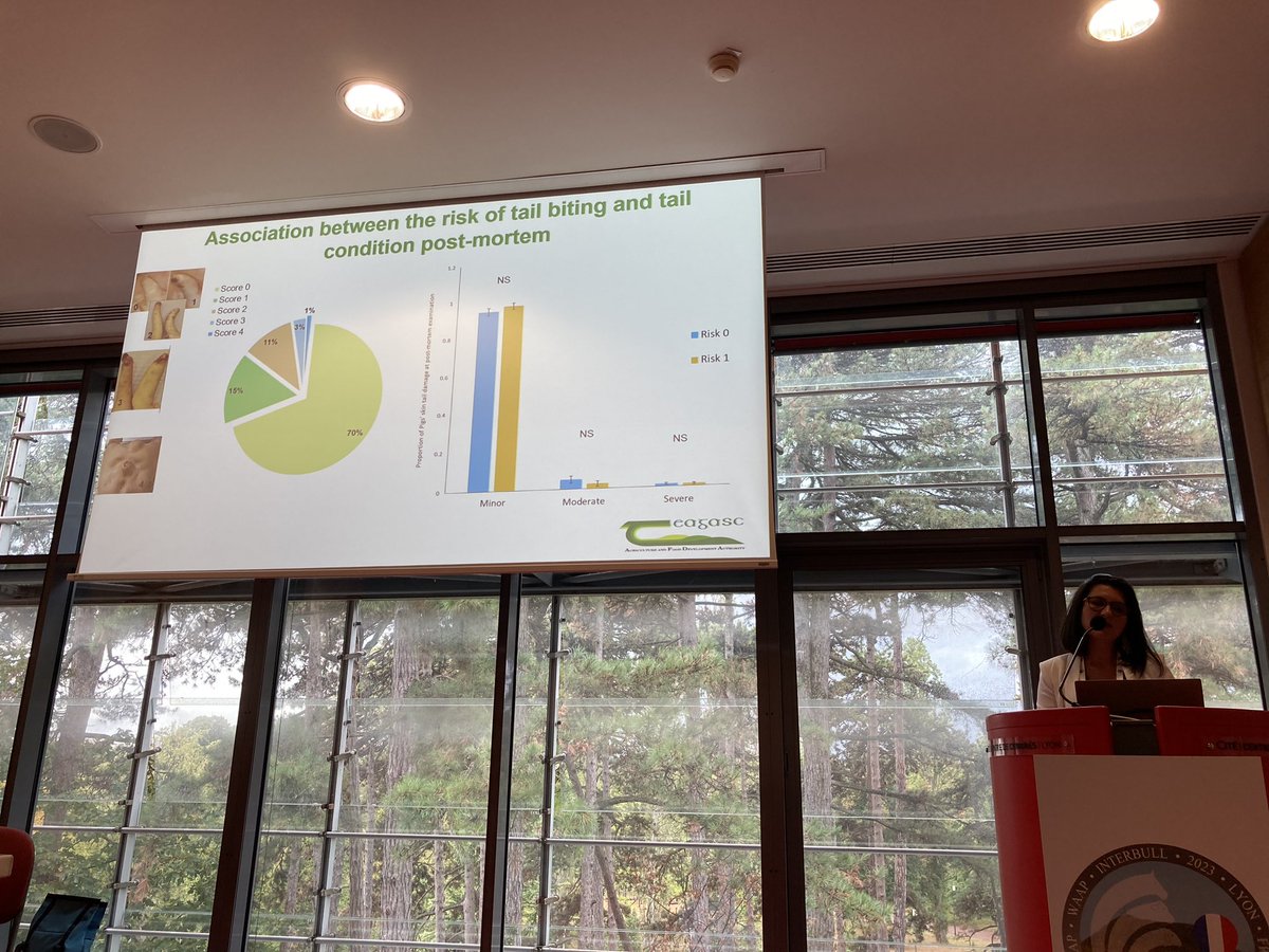 Laura Boyle 🇮🇪 tweet media