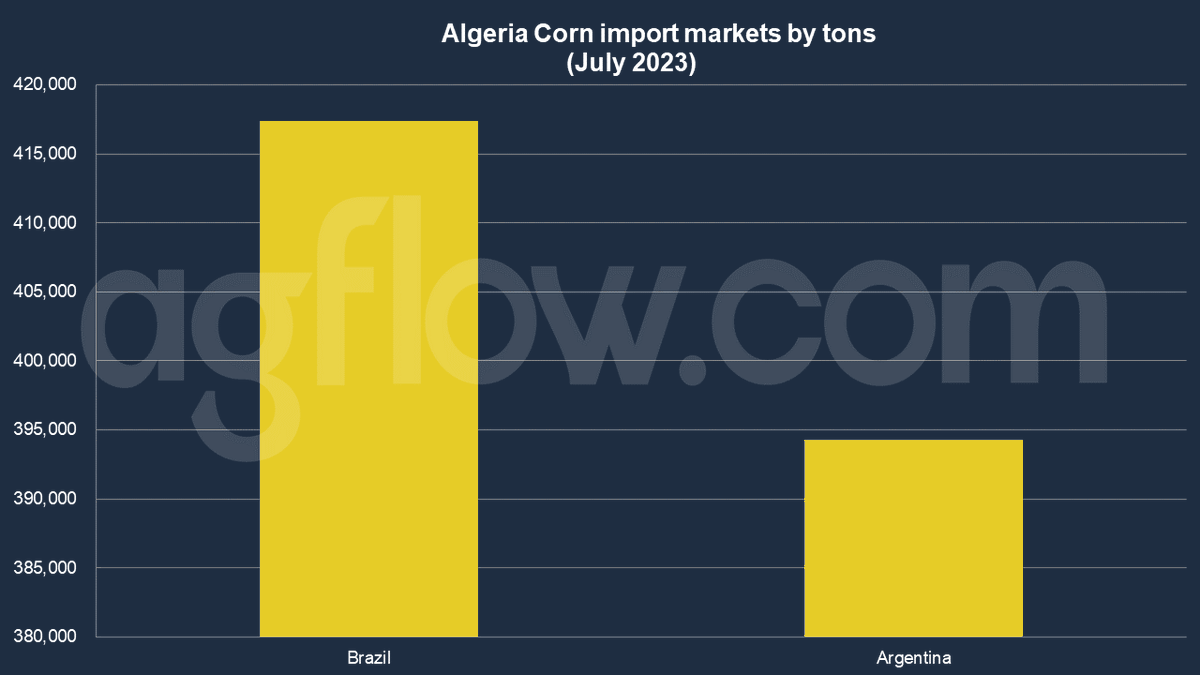 agflow's tweet photo. #Algeria's rising #corn demand in 2023 highlights the balance between national food security and economic stability, prompting diverse import sources amidst global climate anomalies and shipping disruptions. 🌽🇩🇿 #CornTrade #oatt

[Read More] https://t.co/LdnuQisSdZ https://t.co/74hJwaYpsp
