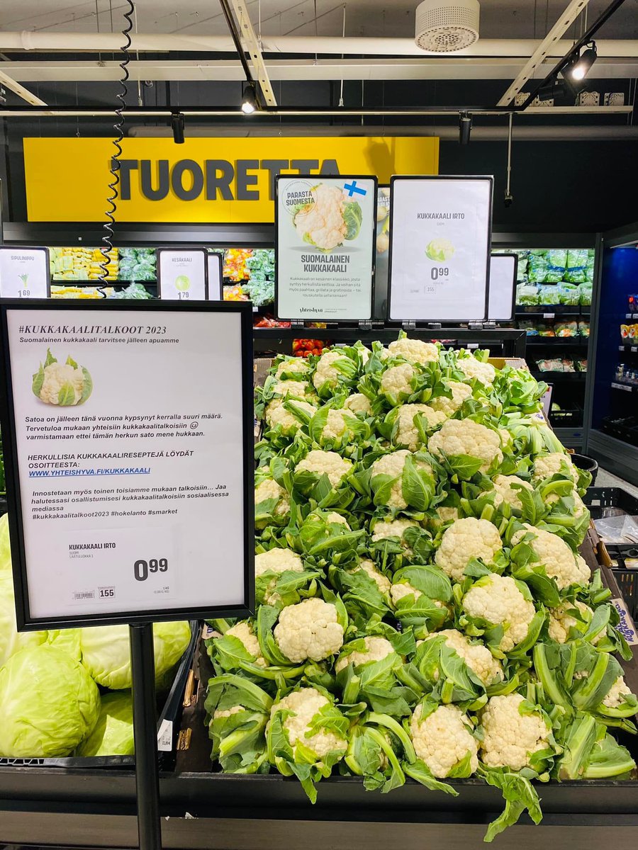 #Kukkakaalitalkoot2023 ovat täällä tänään. Oma suosikkiresepti ja vahva lapsuusmuisto on klassinen ja älyttömän helppo kukkakaaligratiini ripauksella homejuustoa, kuten äiti sen teki😋 Miten te kokkaatte kukkakaalin? Kuva: S-market Niittykumpu