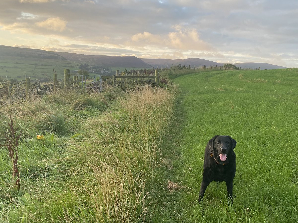 andyb066's tweet photo. Morning @runningpunks Beastie boy walk followed by a Bank Holiday bimble. Another 10k in total for @BipolarUK #poletopolechallenge @SOBScharity #stepwithsobs #muddymilesformegs #runningpunks #runningpunk https://t.co/vmF3Cnkh9K https://t.co/ig6C5b6pSW