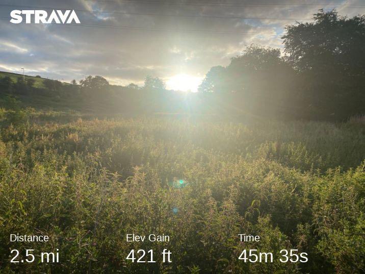 andyb066's tweet photo. Morning @runningpunks Beastie boy walk followed by a Bank Holiday bimble. Another 10k in total for @BipolarUK #poletopolechallenge @SOBScharity #stepwithsobs #muddymilesformegs #runningpunks #runningpunk https://t.co/vmF3Cnkh9K https://t.co/ig6C5b6pSW