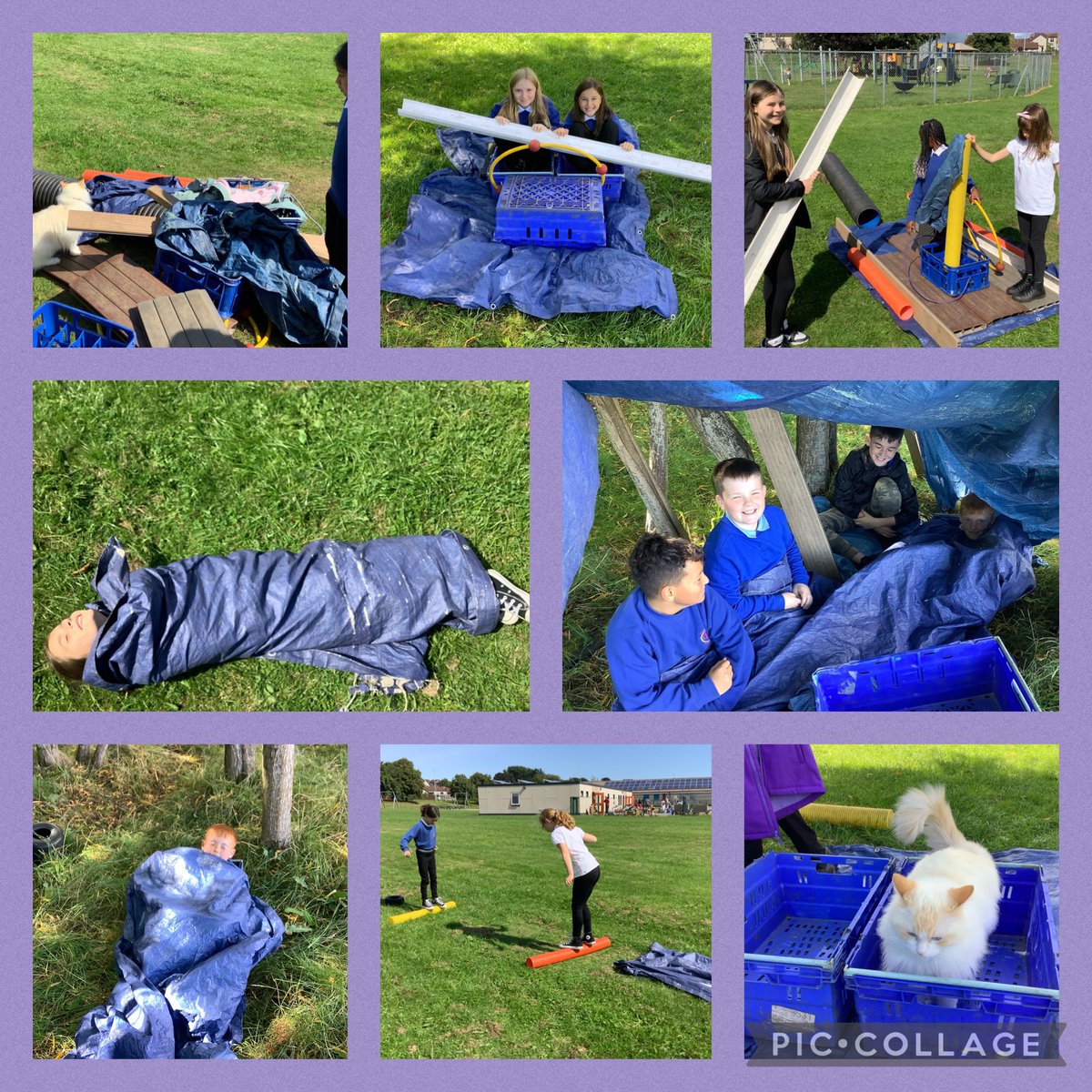 Miss Docherty🎓🍎 tweet media