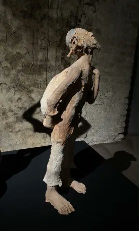 Galerie Capazza tweet media