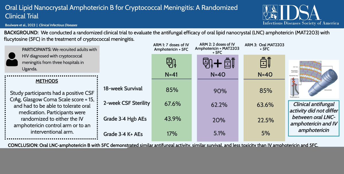 infeccHRUmalaga's tweet photo. Ensayo clínico F2 meningitis #criptococo en #VIH (📸2)con #ANFOTERICINA B ORAL!!! (#MAT2203)💊👄NUEVA formulación con nanocristales lipidicos(📸3,4)con misma mortalidad q anfo B IV y MENOS efectos secundarios📉Gran avance en el tratamiento antifúngico!❌🍄https://t.co/mZwiBnK3EW https://t.co/9VDViECmEu