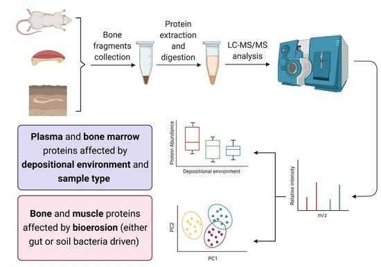 Biology MDPI tweet media
