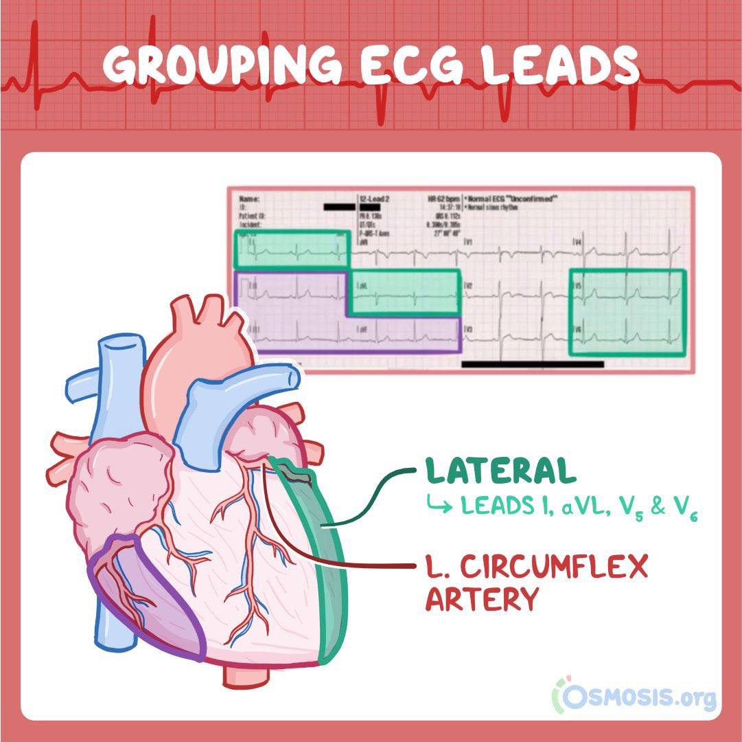 Top Biomedical Science tweet media