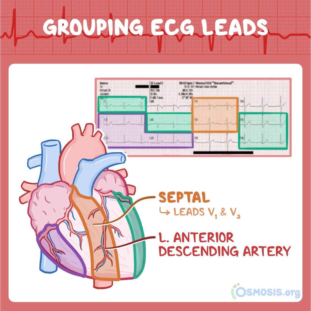 Top Biomedical Science tweet media