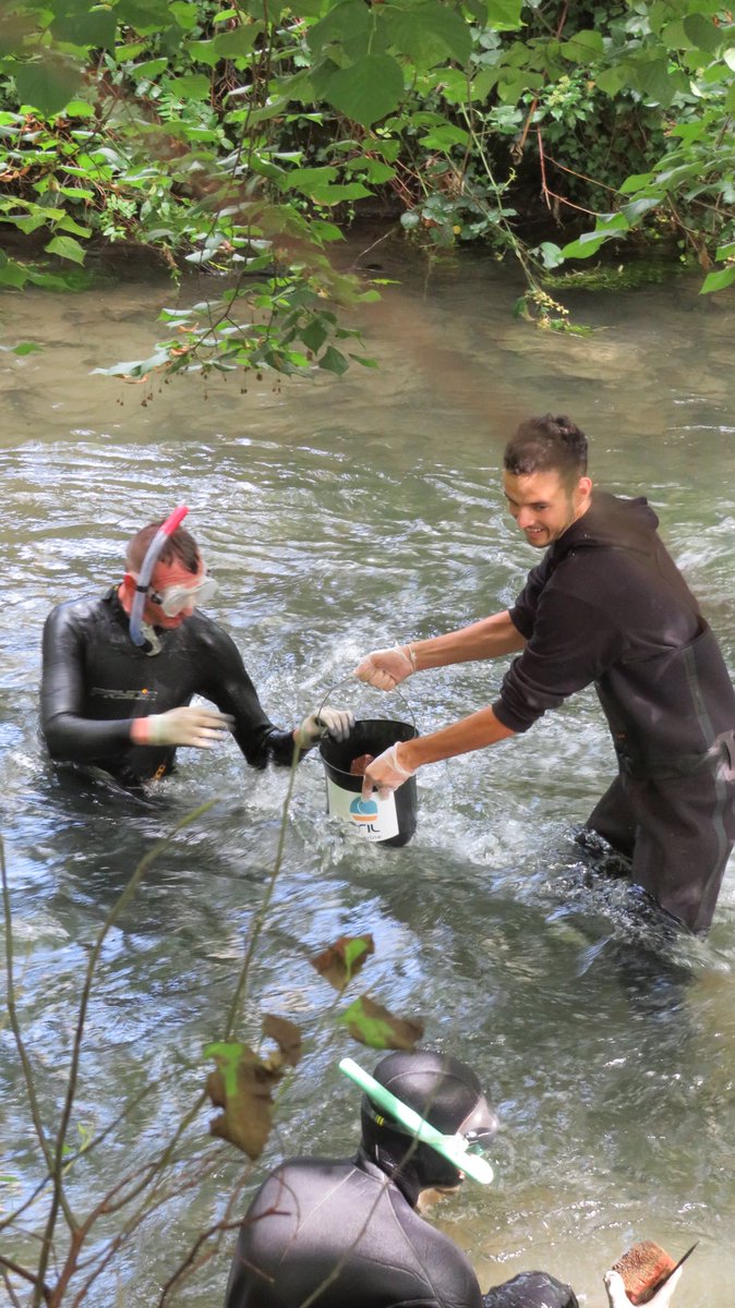 DavidLamiray's tweet photo. Voilà un bel engagement citoyen avec la #Mission1000Tonnes sur la @VilledeMaromme avec plus de 2600Kg de déchets ramassés dans la rivière du #Cailly en 3 heures.
Après 2 siècles d’exploitation par l’homme cet espace naturel retrouve petit à petit sa qualité environnementale. https://t.co/XyrAvbSOkx