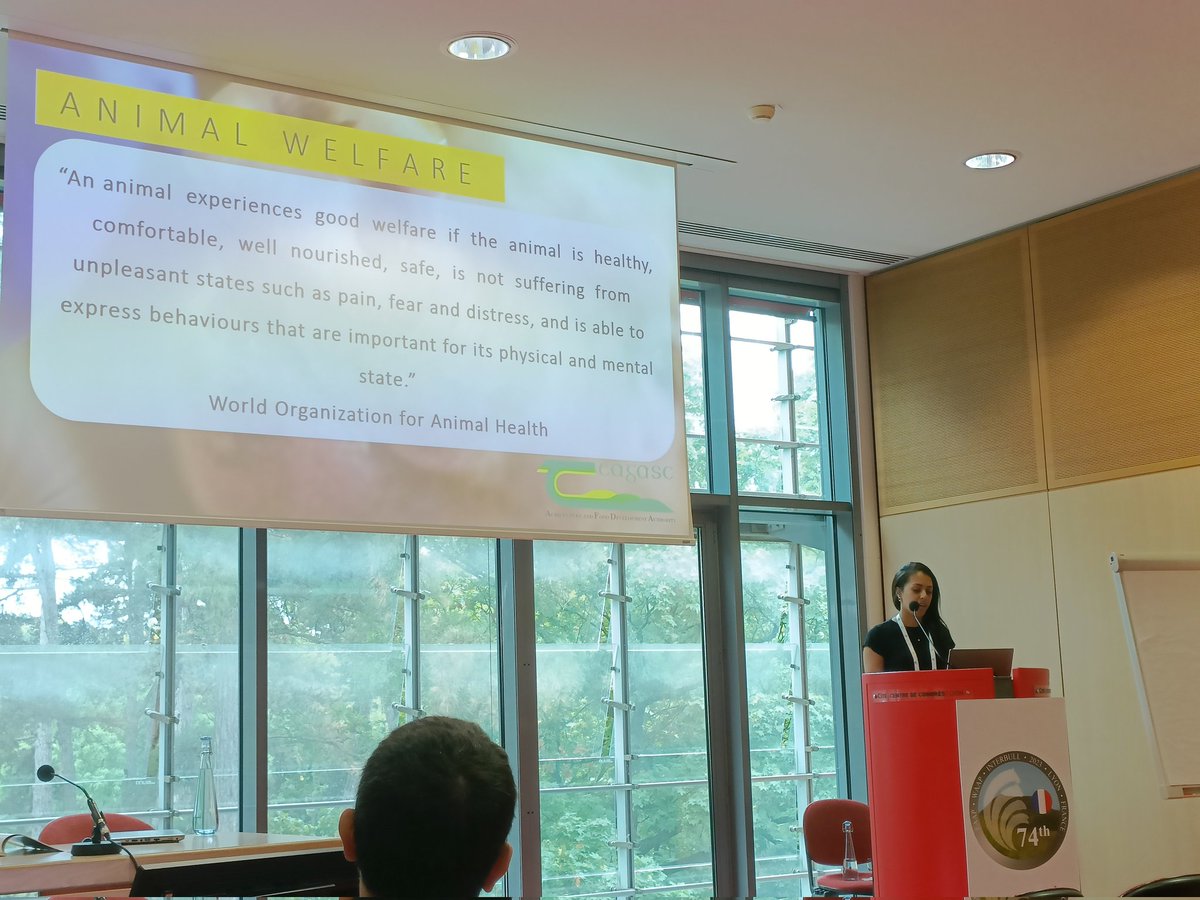 Roberta Maria D'Alessio tweet media