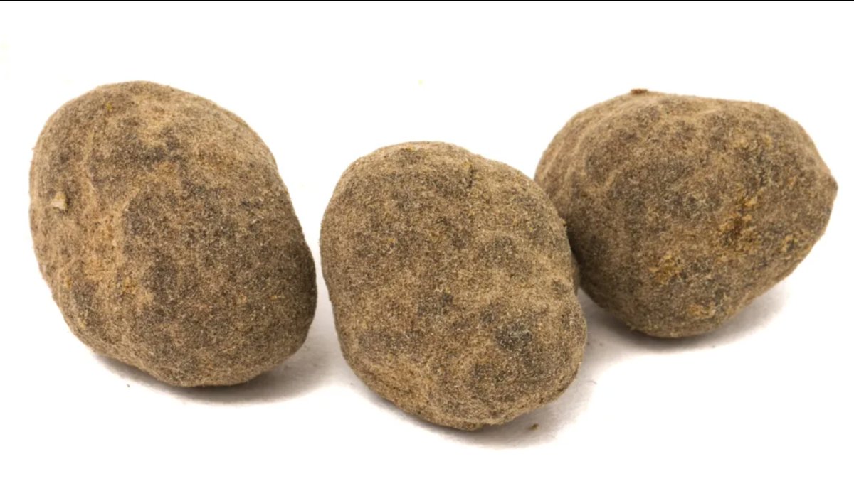 wizmanspace's tweet photo. 「當代神農 Modern Super Farmer」|
🌌 石頭里藏著的��宙 Moon Rock
🤤 美味程度米其林
🌪 開飛沒有回頭路 See you tomorrow

🌚🌚
Moon Rock月亮石是大麻產品中的狠角色，勁兒大、價格高、美味，嘻哈圈的發明。
看起來是一塊硬硬的石頭，切開就是一個宇宙。

✨
裡面藏滿了一閃一閃亮晶晶的大麻晶體和蜂蜜質地的wax🍯
一般來說是將高質量的大麻花浸泡在wax或者其他提取物中，然後外面再裹上一層均勻的kief糖霜。
一口下去，能同時品嘗到花、wax和kief的三重口感，和萜烯的香氣纏繞在一起，沒等品出其中奧妙，已經飛到了月球。

THC 含量通常很高，平均超過 50%，製作的花蕾THC含量高會得到更高的產品。預計效果會在食用後 30 分鐘左右開始，持續到6個小時，並且甚至到第二天醒來。當然這個要看本人的耐受力，那種一dab下去像是吸了一口氧一般平靜的大佬另講。不過就連狗爺都在一次採訪中聊到，Moon Rock對他來說too much了😁

另一個特點是燃燒的非常慢，因為裡面含有大量的油。
所以，一克Moon Rock遠比一克草要傳的時間長。但是每一口都直接頂上雲霄，所以很適合大家一起相約日落時，來場說走就走的旅行。

🧘🏻
使用的時候要注意一些儀式感
1、用工具，例如刀叉來將石頭切開，不要用研磨器、手。因為質地很黏，會浪費很多有效物質。
2、用pipe、bong或者卷一根都可以。如果是選擇joint的話，為了方便燃燒，可以均勻地混上一些草。
3、 使用點燃麻芯的方式來代替火機點燃植物。因為月岩的緻密質地需要比普通花更長時間地保持火焰。使用麻芯可以避免吸入打火機中的丁烷，而且看起來更加優雅不是嗎。
（圖片來自網絡）
#aisa420 #aisa420united #moonrock #710 #wizman