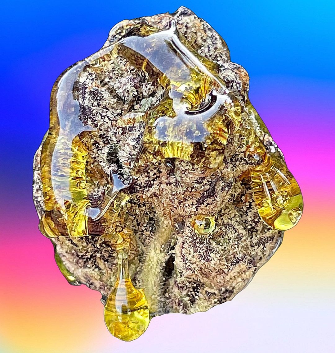 wizmanspace's tweet photo. 「當代神農 Modern Super Farmer」|
🌌 石頭里藏著的��宙 Moon Rock
🤤 美味程度米其林
🌪 開飛沒有回頭路 See you tomorrow

🌚🌚
Moon Rock月亮石是大麻產品中的狠角色，勁兒大、價格高、美味，嘻哈圈的發明。
看起來是一塊硬硬的石頭，切開就是一個宇宙。

✨
裡面藏滿了一閃一閃亮晶晶的大麻晶體和蜂蜜質地的wax🍯
一般來說是將高質量的大麻花浸泡在wax或者其他提取物中，然後外面再裹上一層均勻的kief糖霜。
一口下去，能同時品嘗到花、wax和kief的三重口感，和萜烯的香氣纏繞在一起，沒等品出其中奧妙，已經飛到了月球。

THC 含量通常很高，平均超過 50%，製作的花蕾THC含量高會得到更高的產品。預計效果會在食用後 30 分鐘左右開始，持續到6個小時，並且甚至到第二天醒來。當然這個要看本人的耐受力，那種一dab下去像是吸了一口氧一般平靜的大佬另講。不過就連狗爺都在一次採訪中聊到，Moon Rock對他來說too much了😁

另一個特點是燃燒的非常慢，因為裡面含有大量的油。
所以，一克Moon Rock遠比一克草要傳的時間長。但是每一口都直接頂上雲霄，所以很適合大家一起相約日落時，來場說走就走的旅行。

🧘🏻
使用的時候要注意一些儀式感
1、用工具，例如刀叉來將石頭切開，不要用研磨器、手。因為質地很黏，會浪費很多有效物質。
2、用pipe、bong或者卷一根都可以。如果是選擇joint的話，為了方便燃燒，可以均勻地混上一些草。
3、 使用點燃麻芯的方式來代替火機點燃植物。因為月岩的緻密質地需要比普通花更長時間地保持火焰。使用麻芯可以避免吸入打火機中的丁烷，而且看起來更加優雅不是嗎。
（圖片來自網絡）
#aisa420 #aisa420united #moonrock #710 #wizman