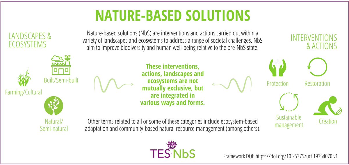 Despite debates over #naturebasedsolution terminologies, social #equity should be central in the process of working with nature to address societal challenges. We need more practical examples of what social equity looks like in #NBS

Read more here - rb.gy/zqkoo