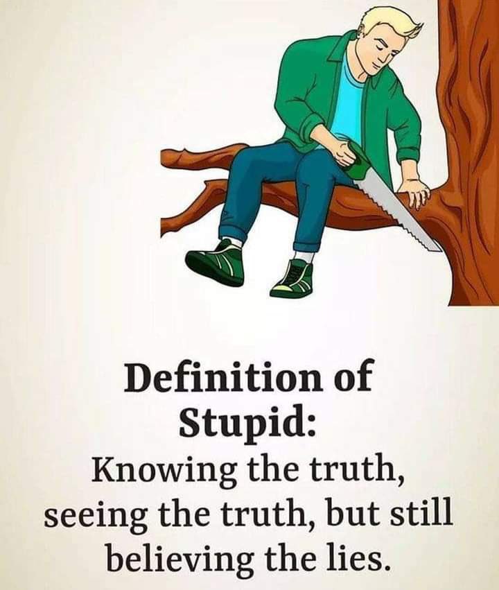 funmuch84's tweet image. 