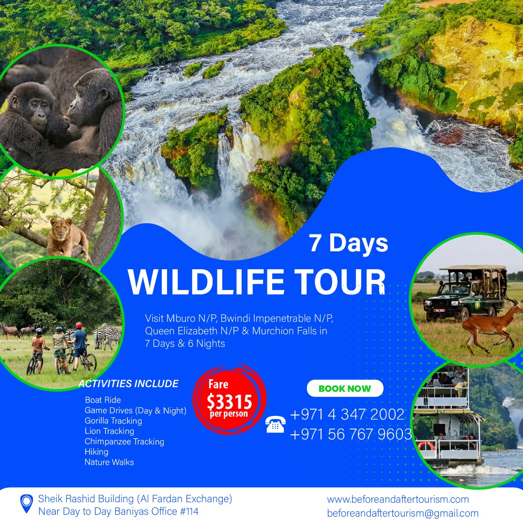 B4andaftertours's tweet photo. Visit Uganda's most famous wildlife parks like Bwindi Impenetrable Forest, Queen Elizabeth N/P, Mburo National Park, and Murchison Falls. 

Book your 7 days tour to Uganda with us and enjoy the Pearl of Africa.

#ExploreUganda #VisitUganda #beforeandaftertourism #tourism https://t.co/okWMsATTUm