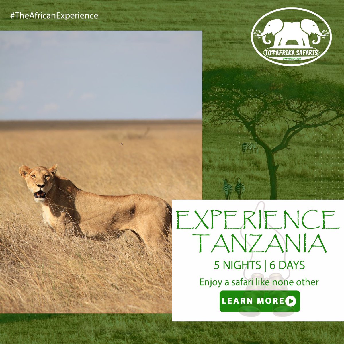 Discover the wonders of Tanzania with ToAfrika Safaris. Tanzania is a land of diverse wildlife and breathtaking landscapes.

For bookings: 
📲+254 – 748 717 387
📧info@toafrika.com

#Tanzania #ExploreEastAfrica #WildlifeWonders #Travel #Adventures #ToAfrikaSafaris
