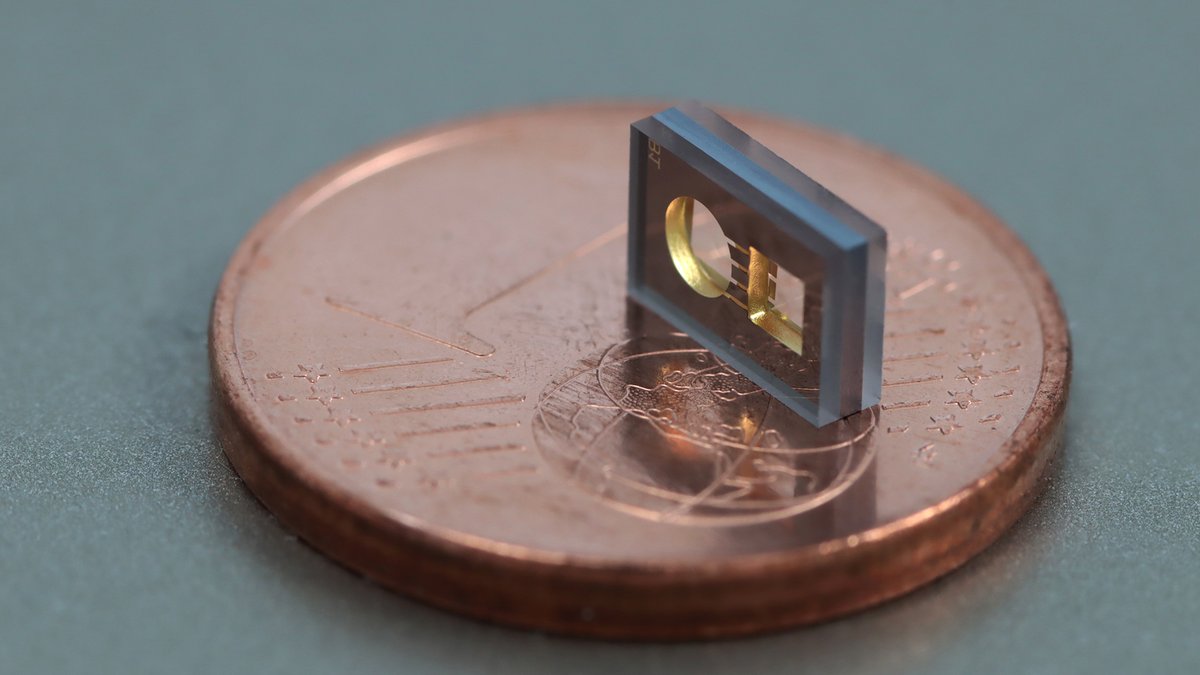 FBH_News's tweet photo. In a joint project with PTB, we are developing a compact atomic magnetometer, which uses frequency-stabilized #lasers and vaporized cesium atoms. It is designed to be used for #magnetomyography, a non-invasive method for measuring human muscle activity. 
👉https://t.co/tbosmDw3y7 https://t.co/3AIV1zL7Tq