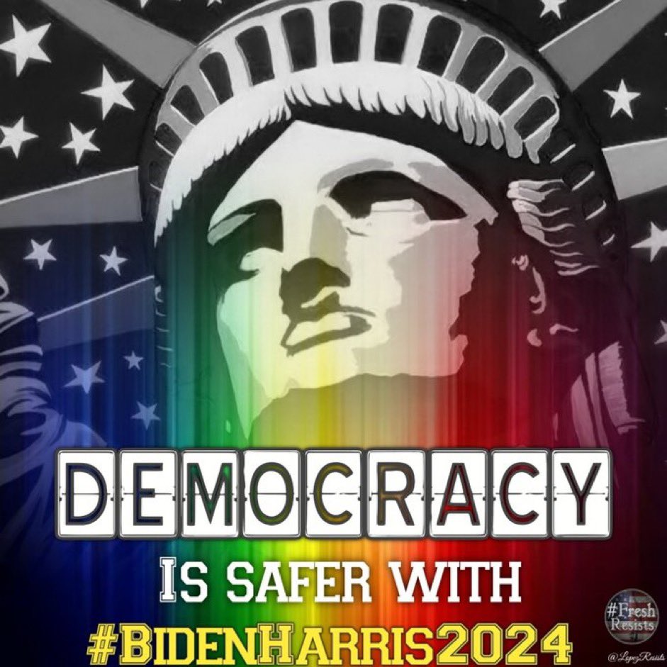 🙏Vote for the Democratic Party, from POTUS to the local officials: why? To save representative democracy. The other party shattered the people’s trust in fair elections & the peaceful transition of power. It’s time to fix it. #DemVoice1 #ONEV1 #wtpBLUE #ResistanceUnited