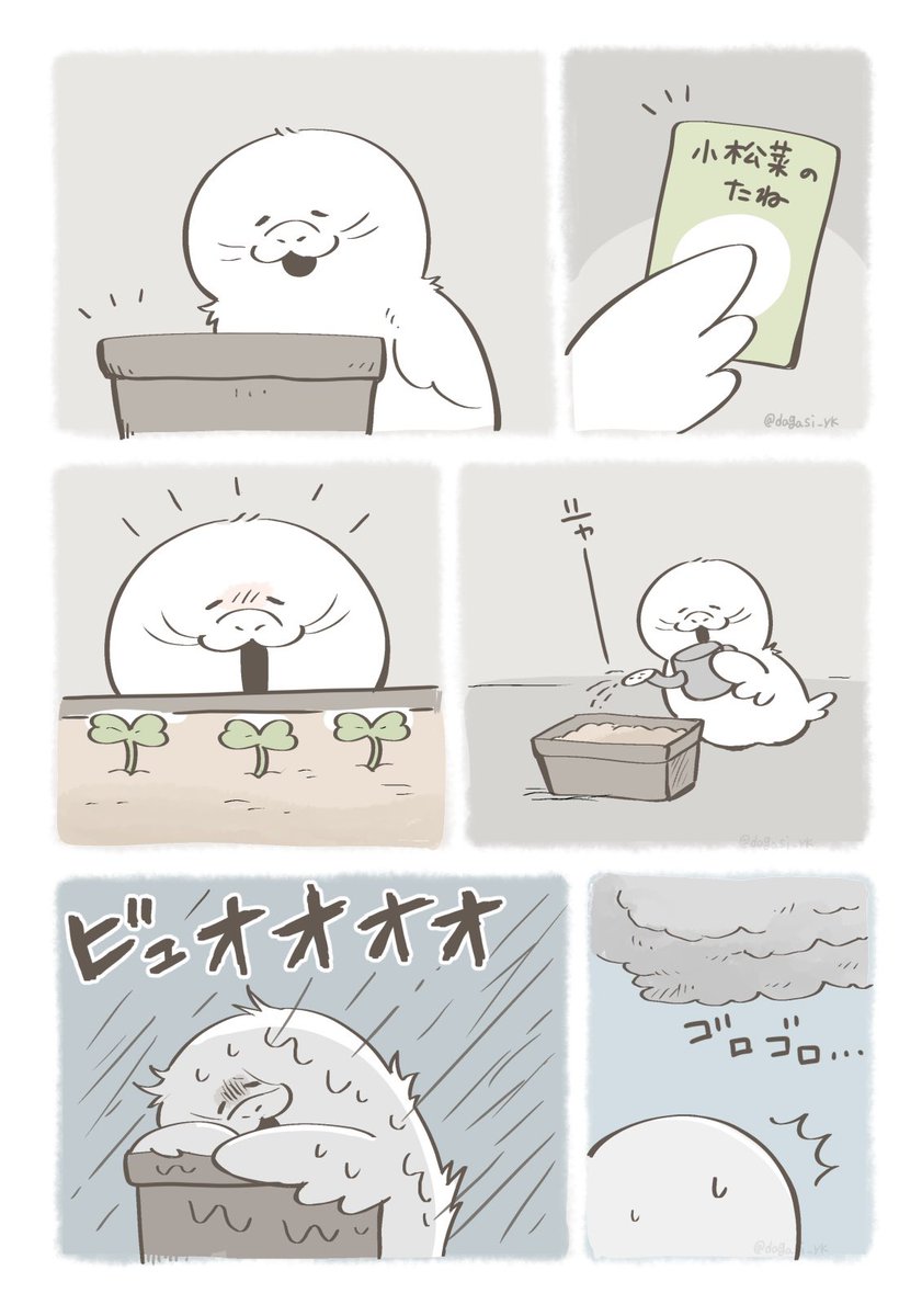 大好きなぶんざらしに振り向いてもらうため、家庭菜園を始めるあちょう(2/2) 