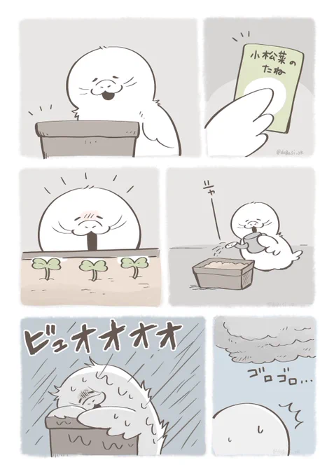 大好きなぶんざらしに振り向いてもらうため、家庭菜園を始めるあちょう(2/2) 