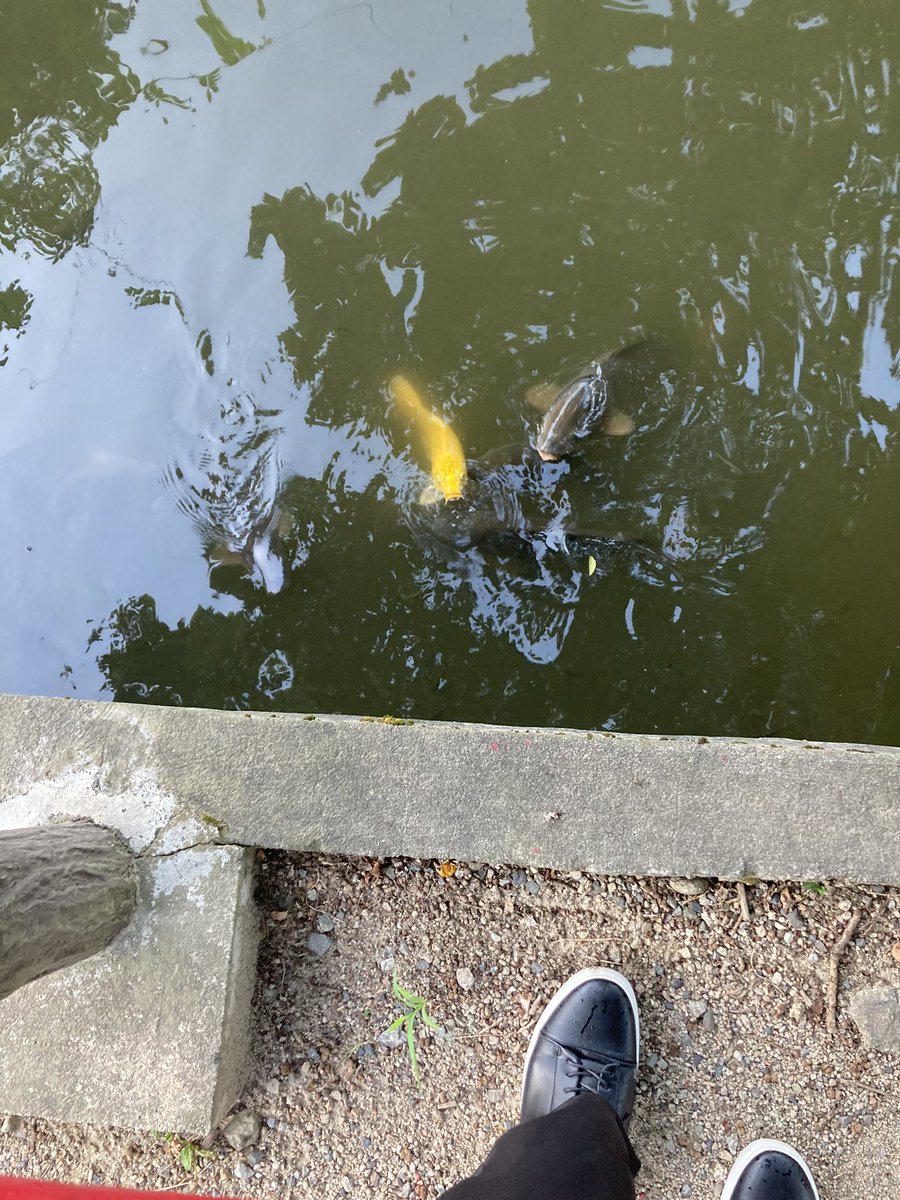 0nu_F5's tweet photo. 🐟 https://t.co/0wZNDvwDbL
