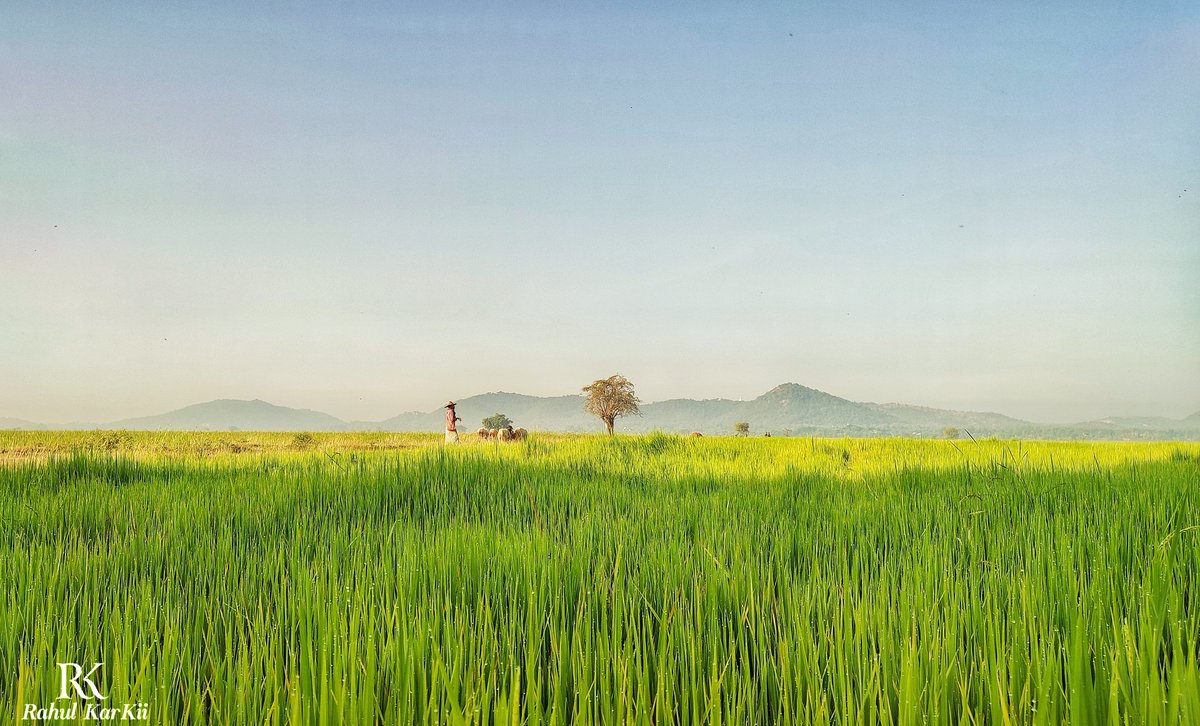 Rahul_Gonzalez7's tweet photo. Sometime its Simple to be Happy,
but its so Difficult to be Simple!
🌄🛣🚵🚵📸📸
#Mobilephotography #landscape
#Nature #NaturalBeauty #naturelovers #Travel #wanderlust #traveldestination  #travelinspiration #landscapephotography #landscapelovers https://t.co/HeKZ3v5VSG