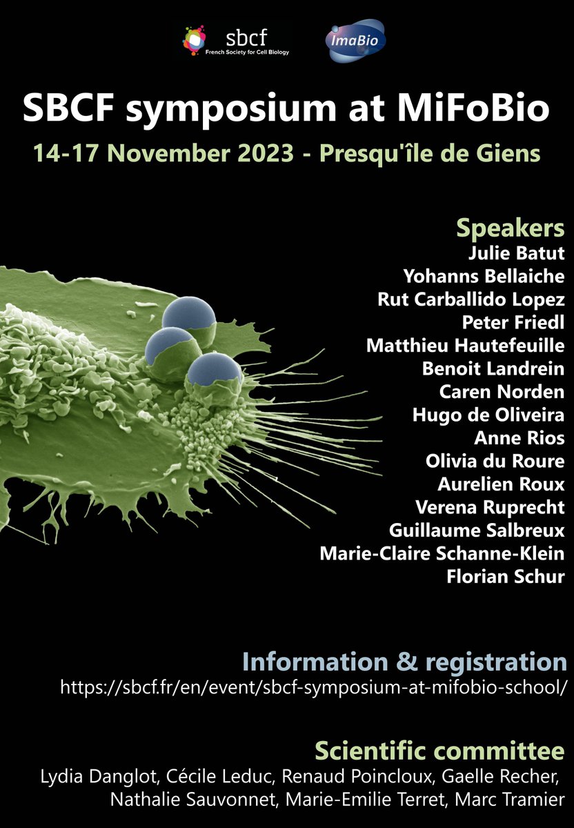 It is still time to register and submit an abstract for the symposium organised by <a href="/SBCF1/">SBCF</a> &amp; <a href="/GDR_ImaBio/">GDR ImaBio</a> in Giens, France from 14 to 17 November. 

Three full days of microscopy &amp; cell biology 🔬!  

More info here: sbcf.fr/en/event/sbcf-… 

Please RT🤗