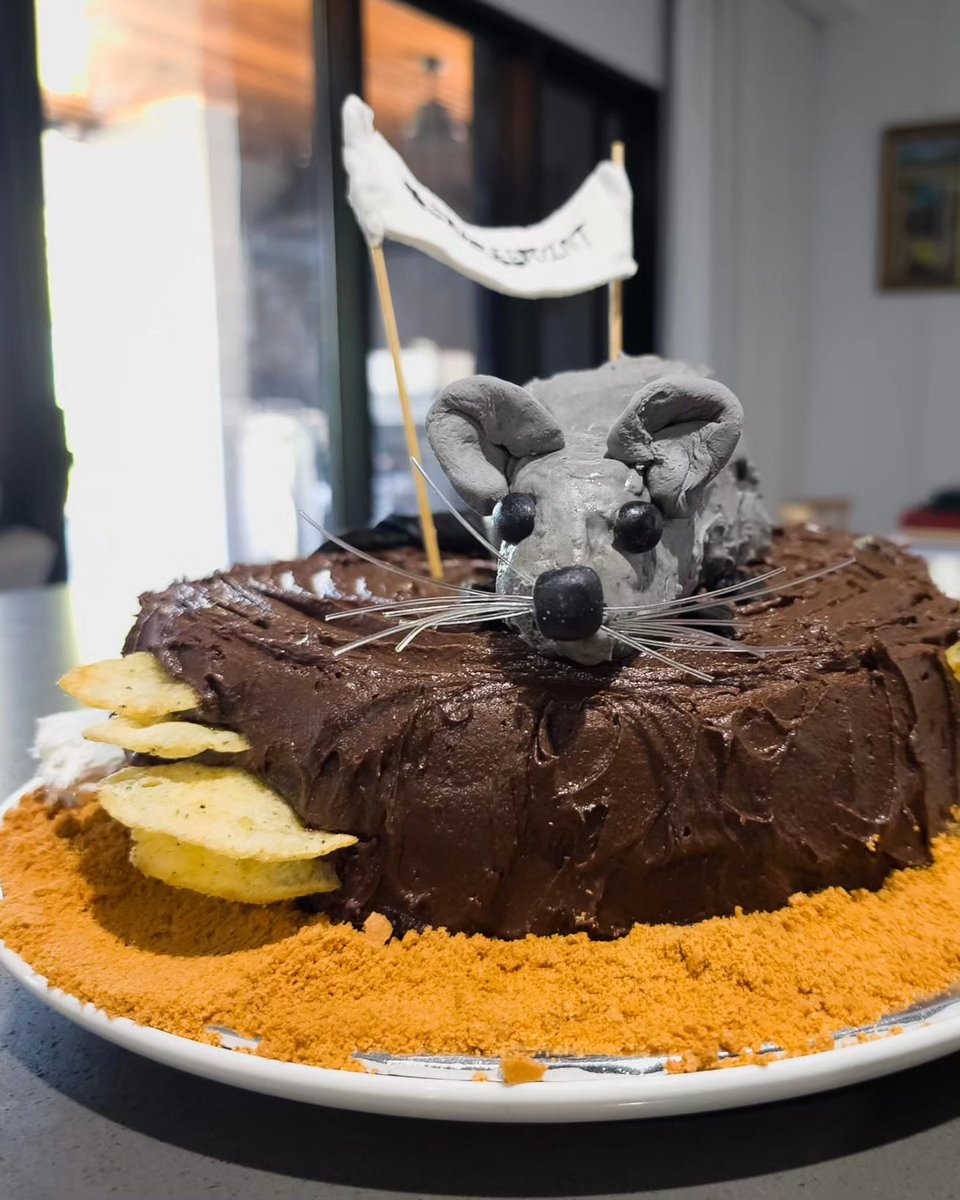 #tsbakeoff2023
#blackfootedtreerat which is considered endangered in Northern Australia. Darwin has a reasonably stable population but this is threatened by new development so #saveleepoint as they live in tree hollows. Look for the long white tail tip and big black feet!