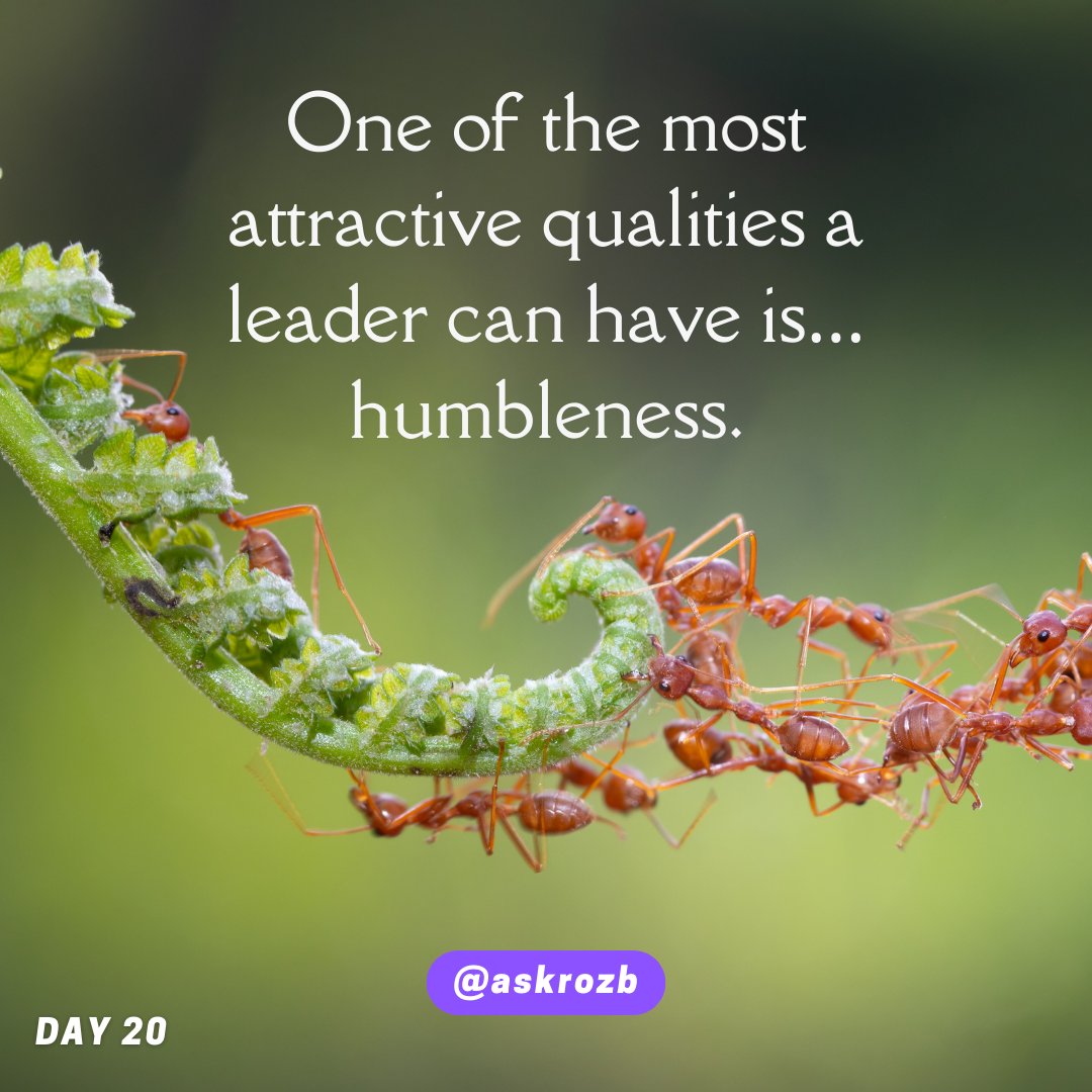 TheRozBooker's tweet image. Day 20 of 21

One of the most attractive qualities a leader can have is…humbleness.

#AskRozB