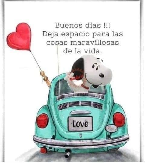 SonyAFe16's tweet photo. Ten una semanita bendecida 🙌🏻 y llena de éxito 🍀🌹... @AnaSilviaFlo @Jennydenis_love @normistorizS 🤍 https://t.co/38WpEskrYh