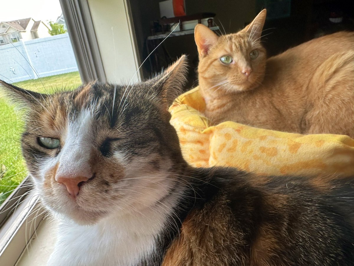 We’re Window Time