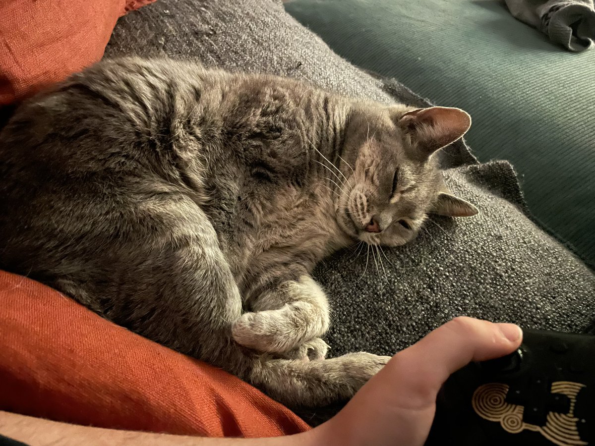 🗡 ▴ Link ▴ 🌱 Bi of the Wild (@wildlingknight) on Twitter photo 