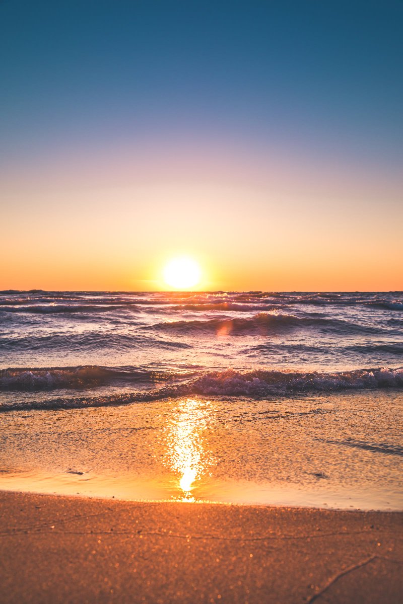 INTOUCH_RUGBY's tweet image. NEW UPGRADED FORMULAS – DELPH SUNCARE  ... now live @ intouchrugby.com #delph #suncare #new #upgraded #formulas #ad #beach #explore #safe #skin