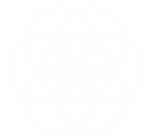 MetanoiaUni's tweet photo. So 1 Royal Egyptian Cubit equals 2π/12 or π/6 Meters. This corresponds also to the ratio of the Seed of Life, the beginning of creation according to Sacred Geometry. It's very interesting how this same ratio applies also to Meter and REC. But there's more.. https://t.co/yHjdUOdUFU