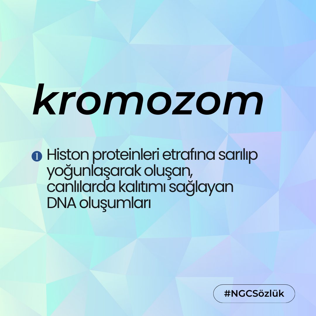 NextGenCen's tweet photo. Next Genetic Center sözlük ile Kromozom nedir?

#NextGeneticCenter #NGCSözlük #kromozom #genetiktest #sağlık https://t.co/3NOjB29pi7