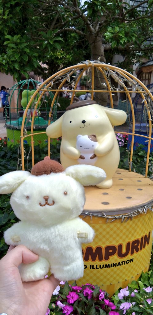 _caramel_0713's tweet photo. 07.15
私が産まれてから毎年1回は行ってましたが、コロナ等で行けず…しかも私の誕生日が夏休みに入らないため行ってもバースデーショーでお祝いされたこと無かったのですが今年初めて！お祝いされました！幸せ空間すぎて泣きました🤍 #大分 #ハーモニーランド #サンリオ  #ポムポムプリン  #sanrio https://t.co/ljVGiorgRh
