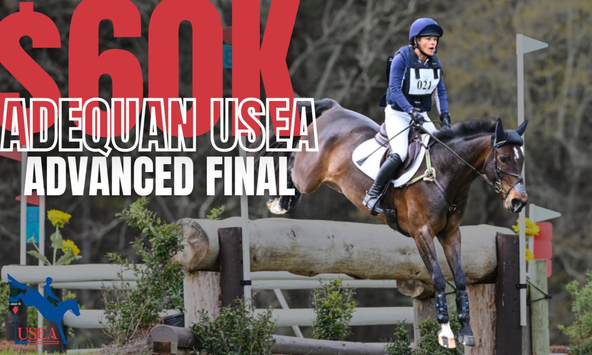 SSB_Eventing's tweet photo. I can't wait to see how Brooke and Cooley Space Grey get on! #TeamSBE will be cheering you on!! 

Check out all of the $60,000 Adequan Advance Final teams here –  
https://t.co/gtRfuGI8sT  

#eventing #AEC2023 #aec #americaneventingchampionships #equestrian #sbeventing https://t.co/n76eRveIxc