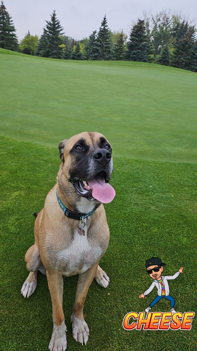 Myles Johb tweet media