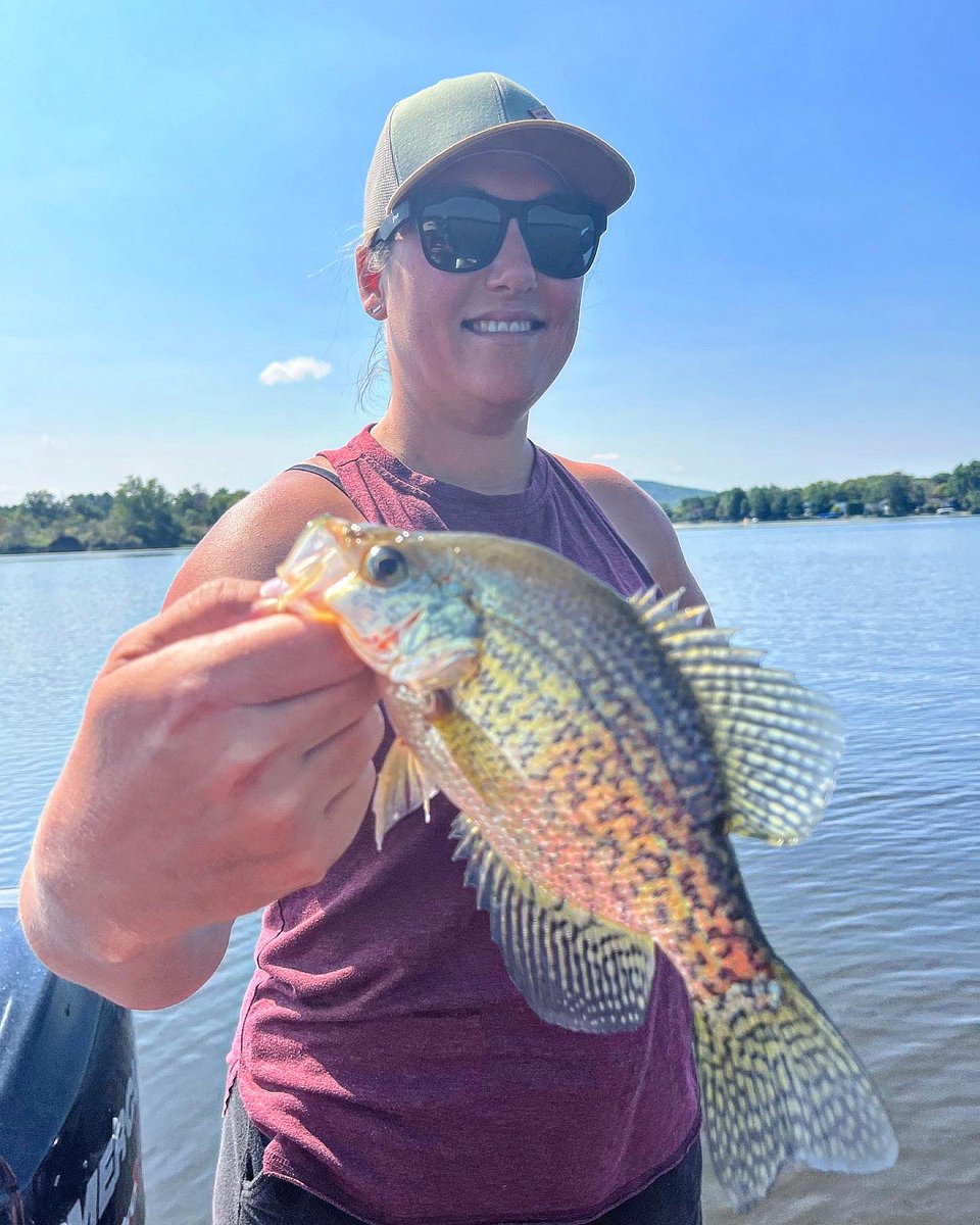 joelthemuskyman's tweet image. What a crappie day Sunday turned out to be

#stcroixrods #bestrodsonearth #finsbraid #finsfishing #offshoretackle #rangerboats #minnkota #humminbird #muskyinnovations #stealthtackle #engelcoolers #simmsfishing #npaa #fishing #crappie #crappiefishing