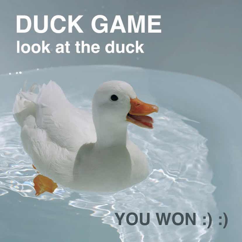 turtlesmeme's tweet photo. https://t.co/wrB8CctHjB