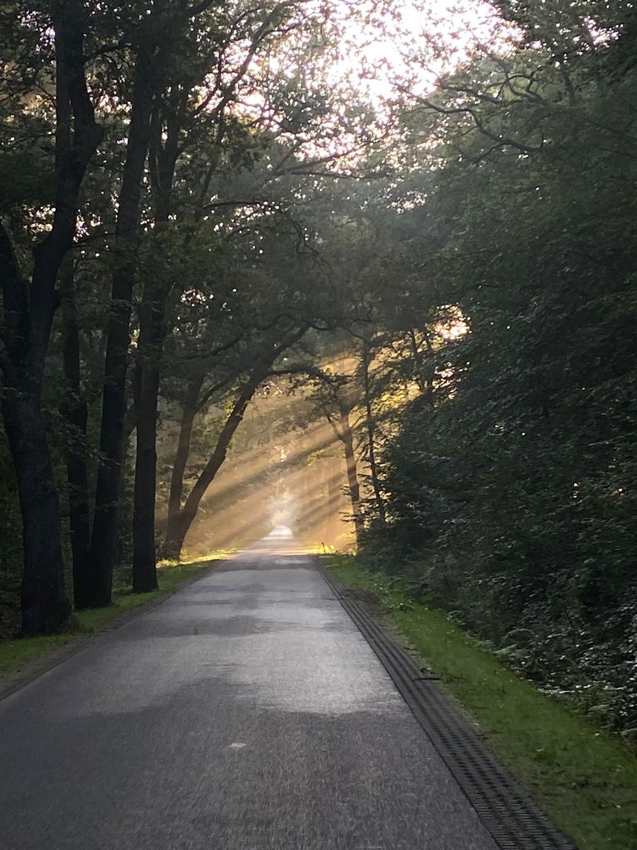 Deze prachtige foto kregen we van een inwoner uit Junne, vanochtend genomen op de Junnerweg. Alsof je door een luikje de zonneharpen tegemoet gaat! #junne #landgoedjunne #maandagochtend #ommen #naregenkomtzonneschijn