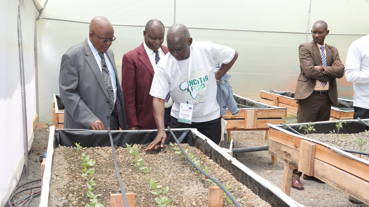INCiTis Food Project Egerton University (@incitis_egerton) on Twitter photo ๐ฃ Exciting times at <a href="/egertonunikenya/">Egerton University</a>! ๐๏ธ On-site TOT training is in full swing for the <a href="/INCiTiSFOOD/">INCiTiS-FOOD</a> Food Project at the <a href="/egertonunikenya/">Egerton University</a> Living Lab. ๐พ๐ฑ Empowering the next generation of agri-innovators with Training of Trainers (TOT)! ๐๐ #EgertonLivingLab #AgriInnovation ๐ฃ Exciting times at <a href="/egertonunikenya/">Egerton University</a>! ๐๏ธ On-site TOT training is in full swing for the <a href="/INCiTiSFOOD/">INCiTiS-FOOD</a> Food Project at the <a href="/egertonunikenya/">Egerton University</a> Living Lab. ๐พ๐ฑ Empowering the next generation of agri-innovators with Training of Trainers (TOT)! ๐๐ #EgertonLivingLab #AgriInnovation