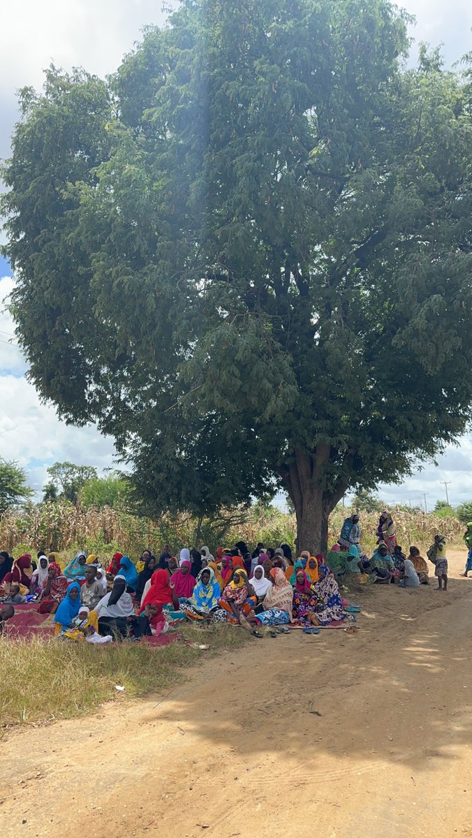 Hassan Shibly tweet media