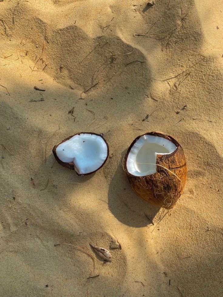 inspiboard's tweet image. life is better in the summer