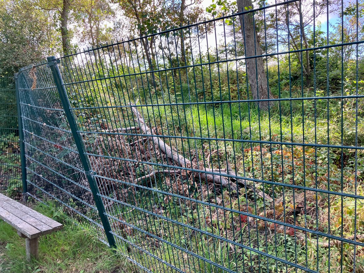 GoerieGate's tweet photo. Nee, en dat zal ook nog wel een tijdje duren, vrezen wij.

Hekwerk Katwijk heeft inmiddels wel de schade opgenomen van dit overheidsvandalisme en dan wordt het hek zo spoedig mogelijk gerepareerd. Op onze kosten, inderdaad. Dan maanden bakkeleien over de schadevergoeding. https://t.co/mKY0BggMJo