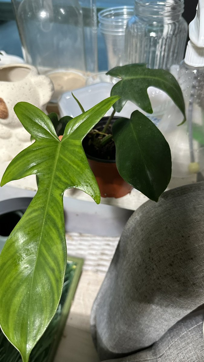 갑자기 무늬...?
이렇게 갑자기?