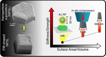Nano Letters (@nanoletters) on Twitter photo Researchers <a href="/MITMechE/">MIT MechE</a> and <a href="/mit_dmse/">DMSE at MIT</a> present a route for programmable mechanical properties of nanocomposite tectons. đź’ˇ Shaping NCTs enables programming of their stiffness and strength. @CMPortela <a href="/Macfarlane_RJ/">Rob Macfarlane</a> <a href="/mit_dmse/">DMSE at MIT</a>
Learn more in #NanoLetters đź”— go.acs.org/5YE Researchers <a href="/MITMechE/">MIT MechE</a> and <a href="/mit_dmse/">DMSE at MIT</a> present a route for programmable mechanical properties of nanocomposite tectons. đź’ˇ Shaping NCTs enables programming of their stiffness and strength. @CMPortela <a href="/Macfarlane_RJ/">Rob Macfarlane</a> <a href="/mit_dmse/">DMSE at MIT</a>
Learn more in #NanoLetters đź”— go.acs.org/5YE